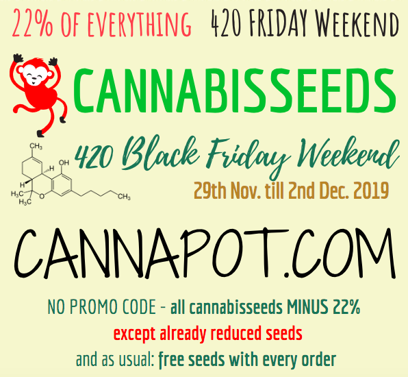 black-friday-weekend-2019-cannapot-seedstore-cannabis-hanf.png