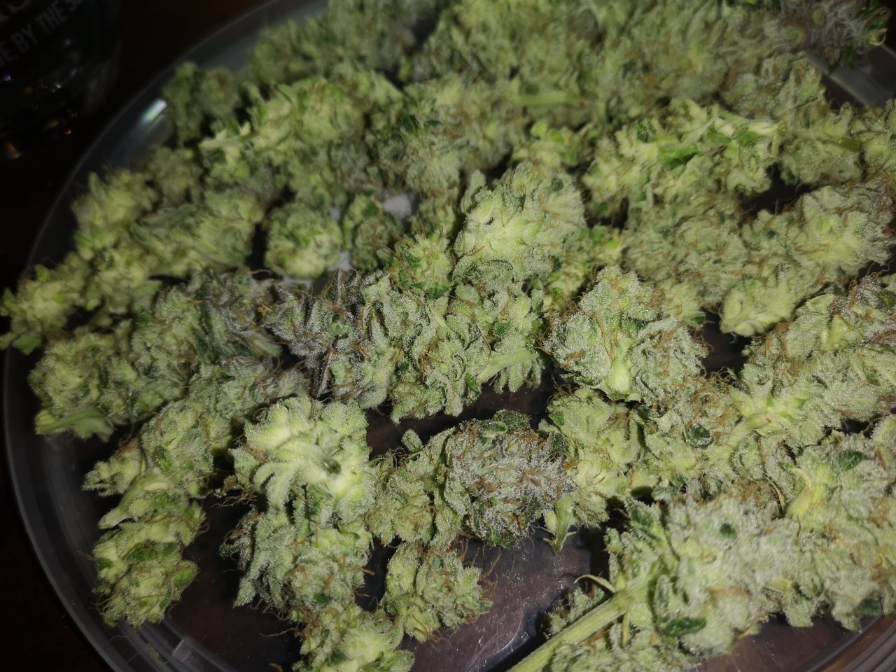 Blue Cheese - trimming