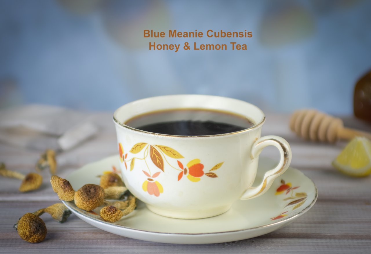 Blue Meanie Mushroom Honey & Lemon Tea.jpg
