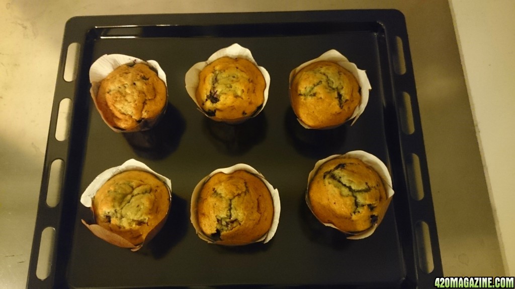Blueberries 'n' Blueberry muffins