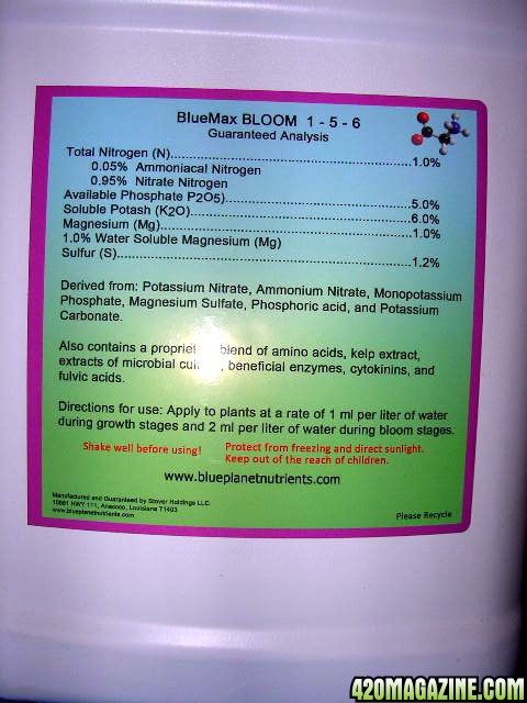BlueMax Bloom (back)