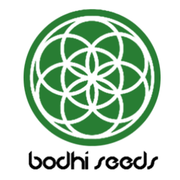 bodhi-seeds-logo-cannapot-seeds-dope-seedshop.png