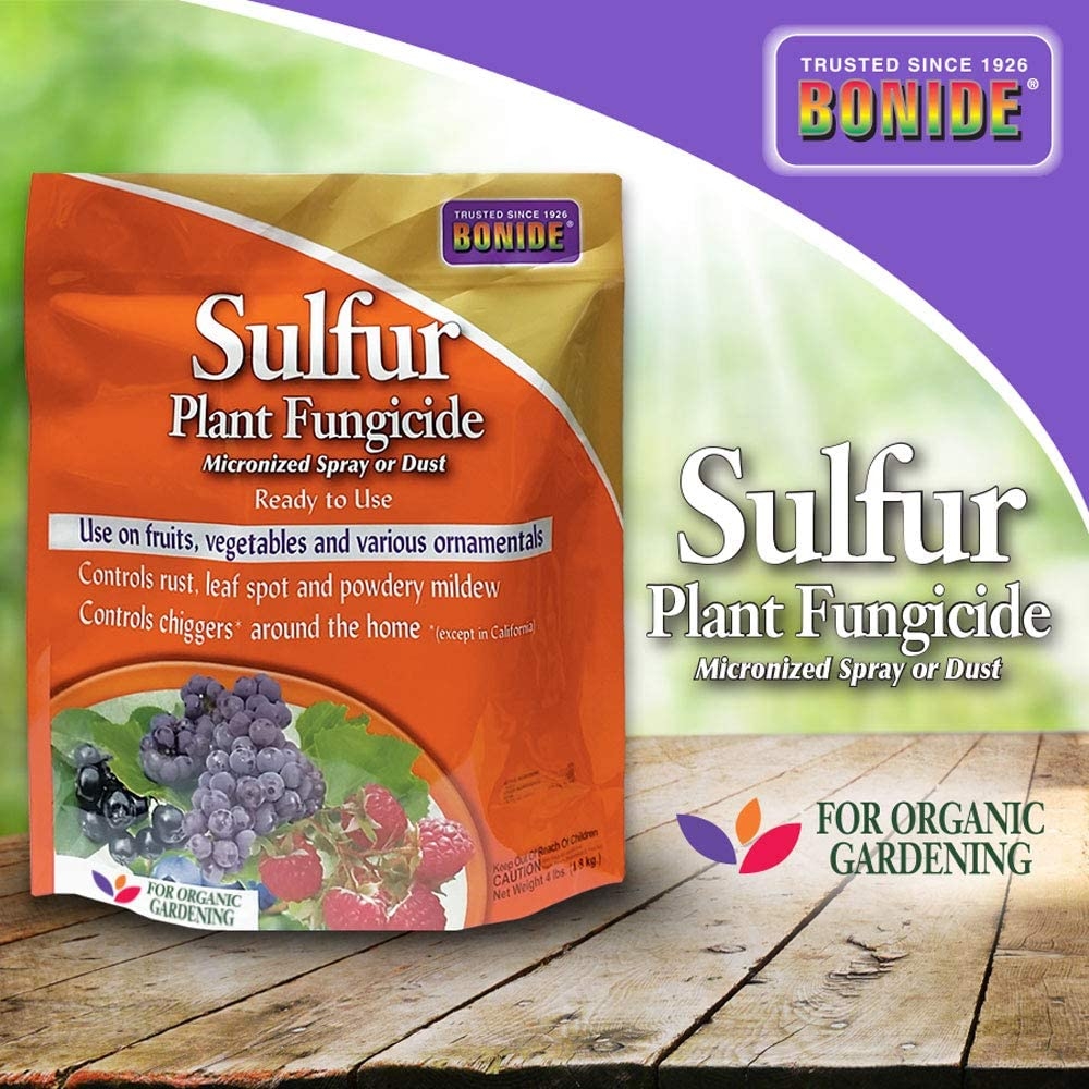Bonide Sulfur Plant Fungicide.jpg