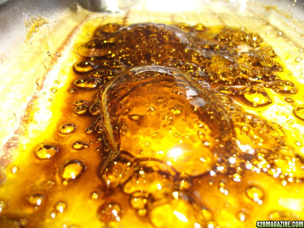 Butane Honey Oil evaporating