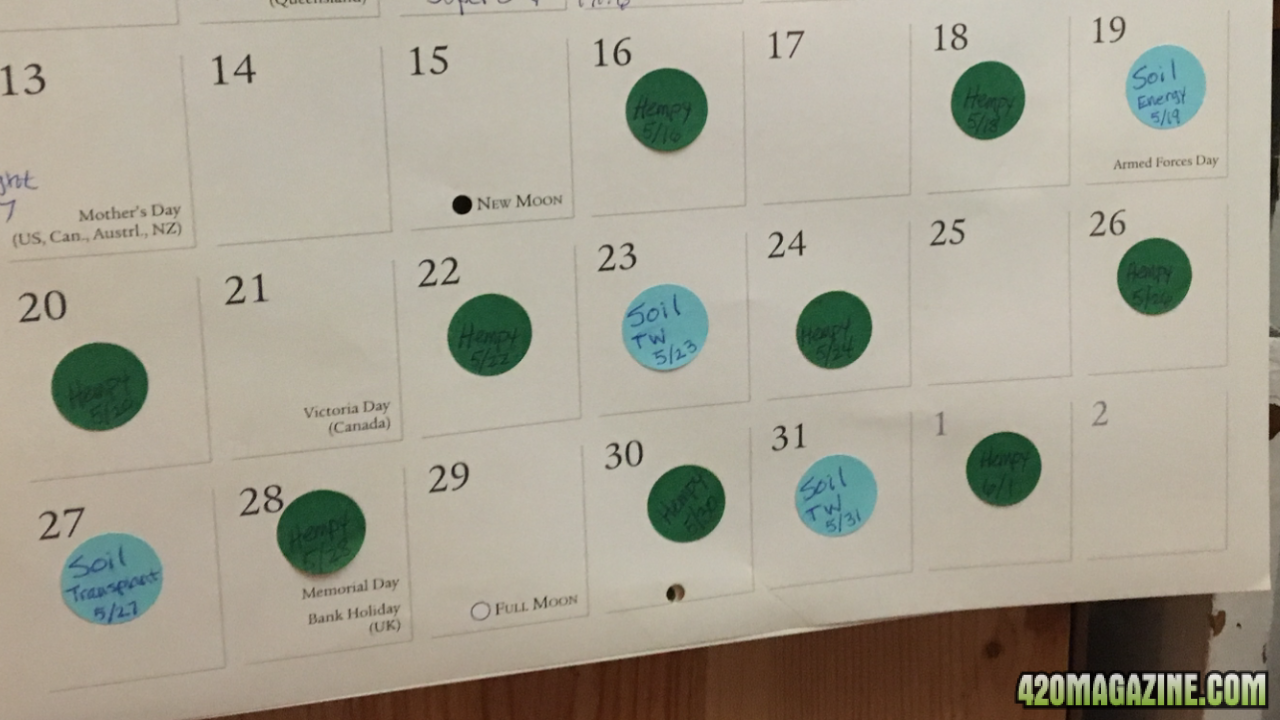 Calendar: remove the daily dot.