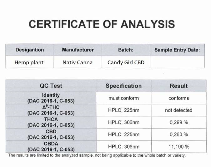 candy-girl-analysis-zertifikat.jpg