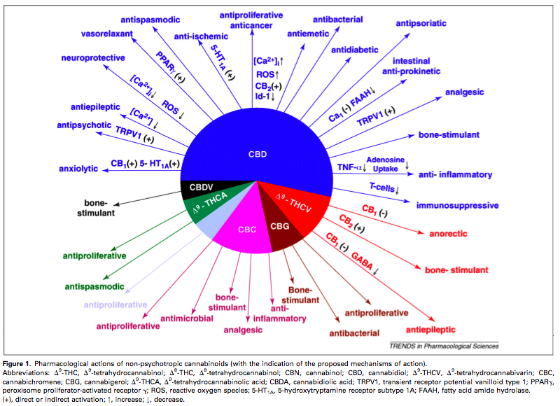 Cannabinoids Chart