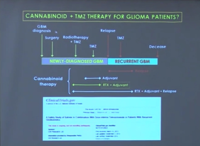 Cannabinoids + TMZ Therapy for Glioma Patients