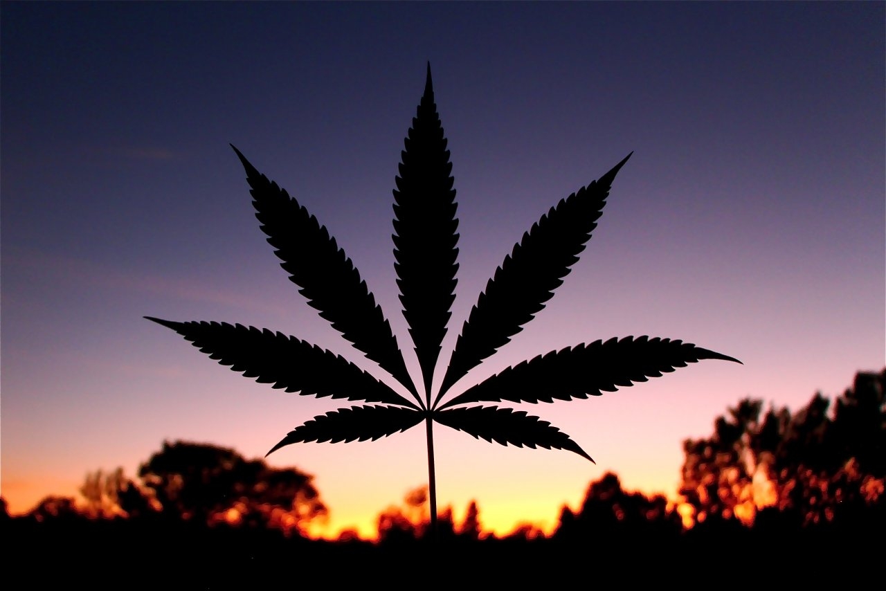 Cannabis Leaf Silhouette w/Orange Sunset Background