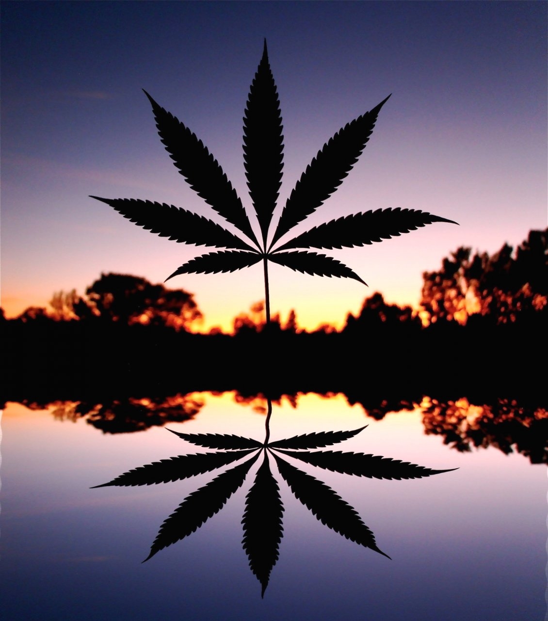 Cannabis Leaf w/Mirror Image