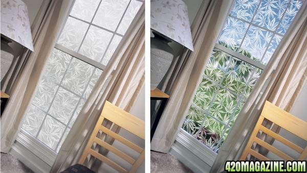 Cannabis Leaf window decor- see-through and privacy