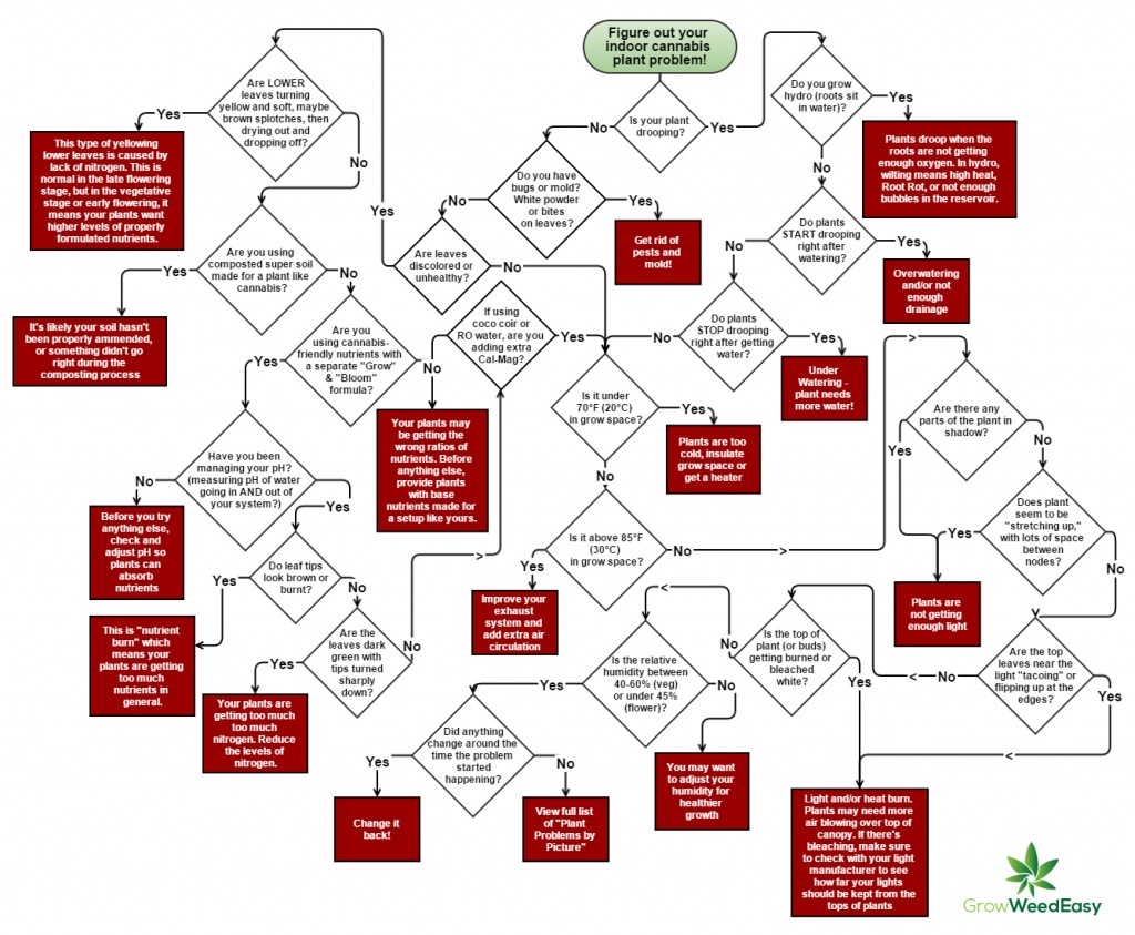 Cannabis problem diagnostic chart