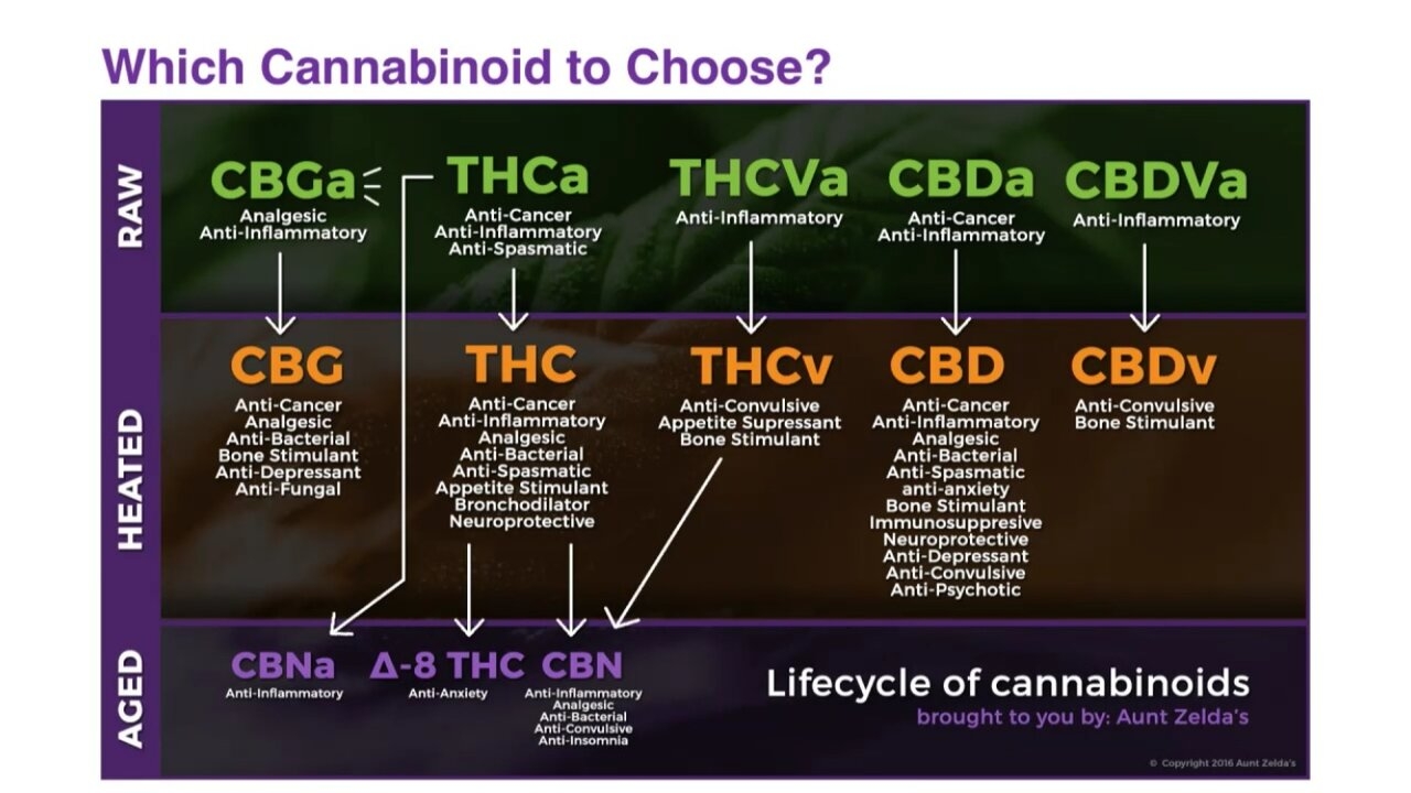 Choosing your cannabinoids