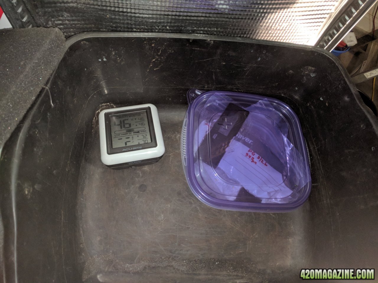 cobs inside ferment tub with temp probe.jpg