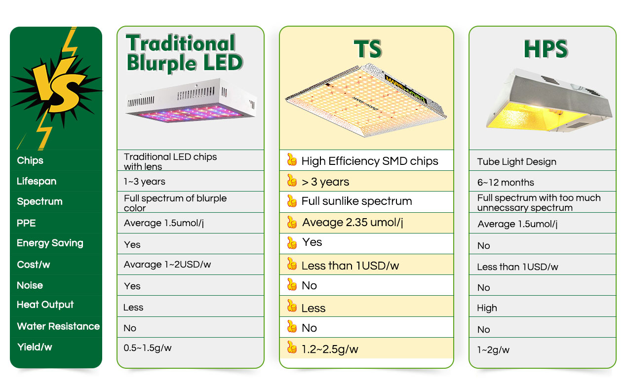 Comparison with other lights - TS (1).jpg