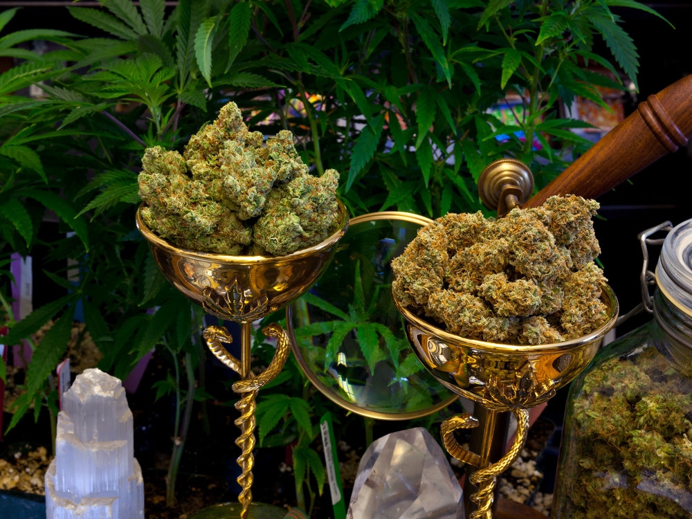 cunnabis-cup-marihuana-konopi.jpg