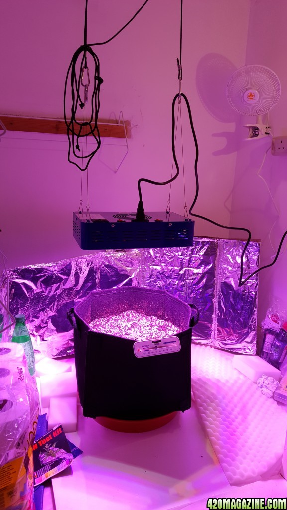 current state of grow room