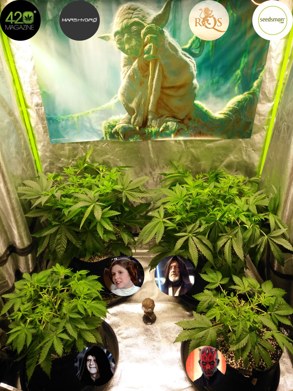 Dagobah Frost Forest - Group Photo