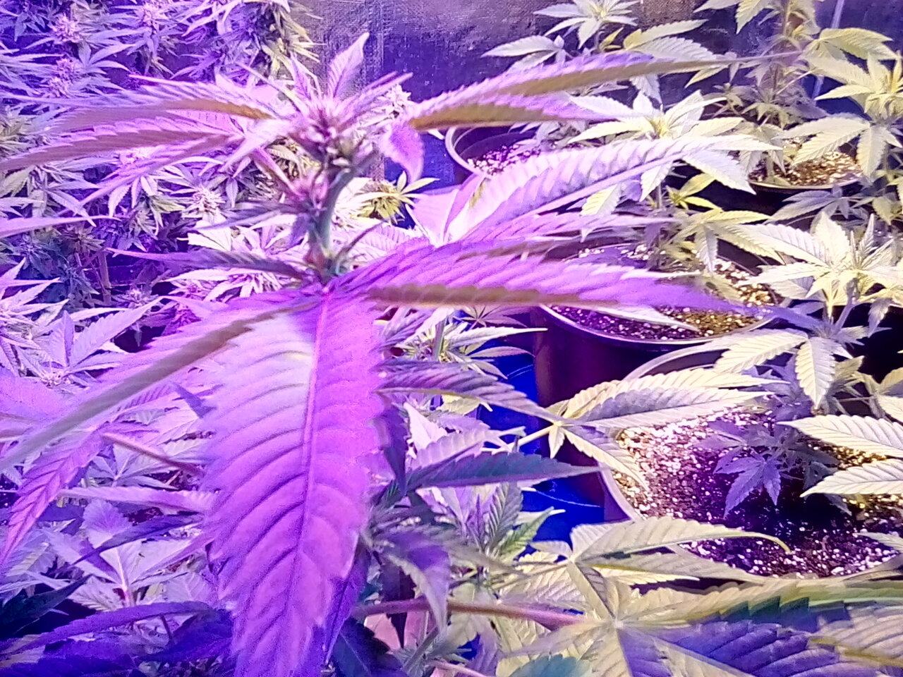 Day 13 of the flip