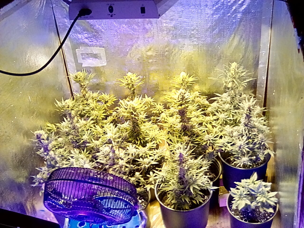 Day 49 of the flip.