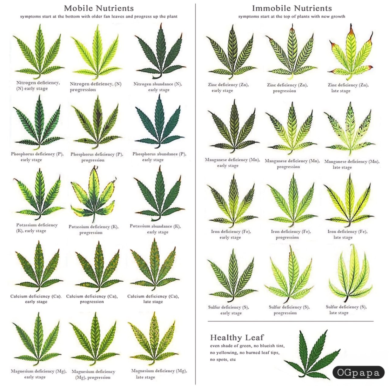 Deficiency Chart