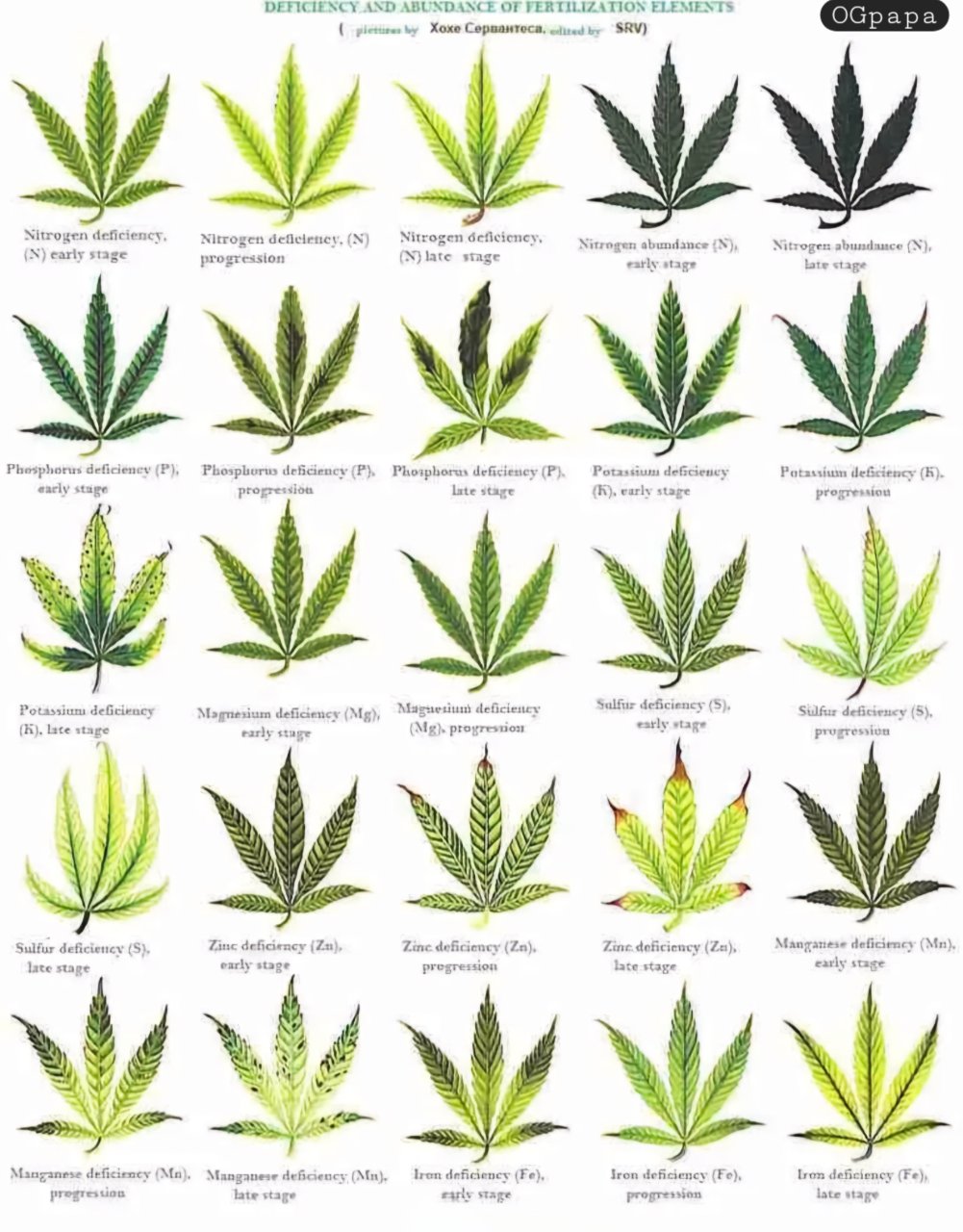 Deficiency chart