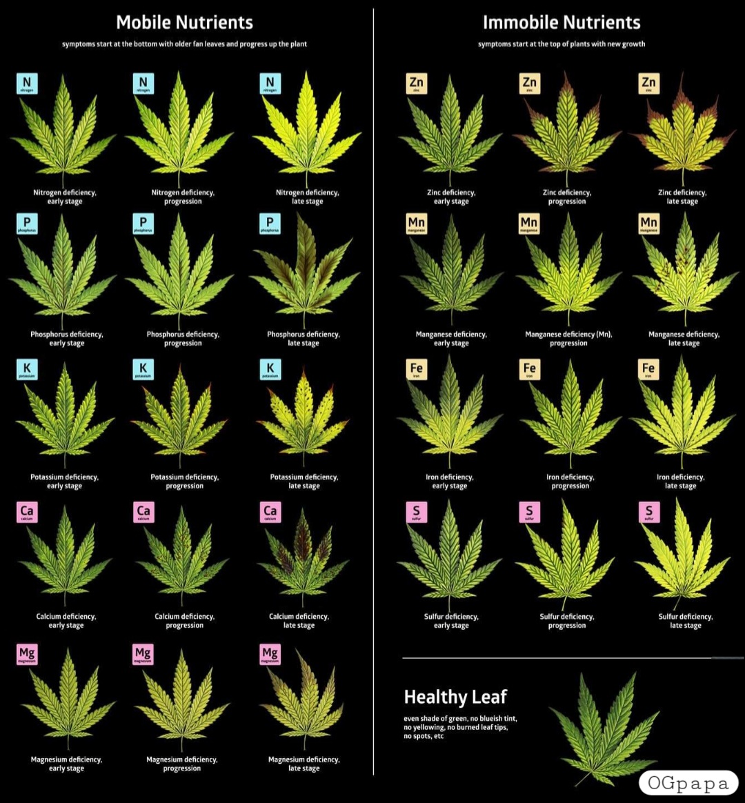 Deficiency chart