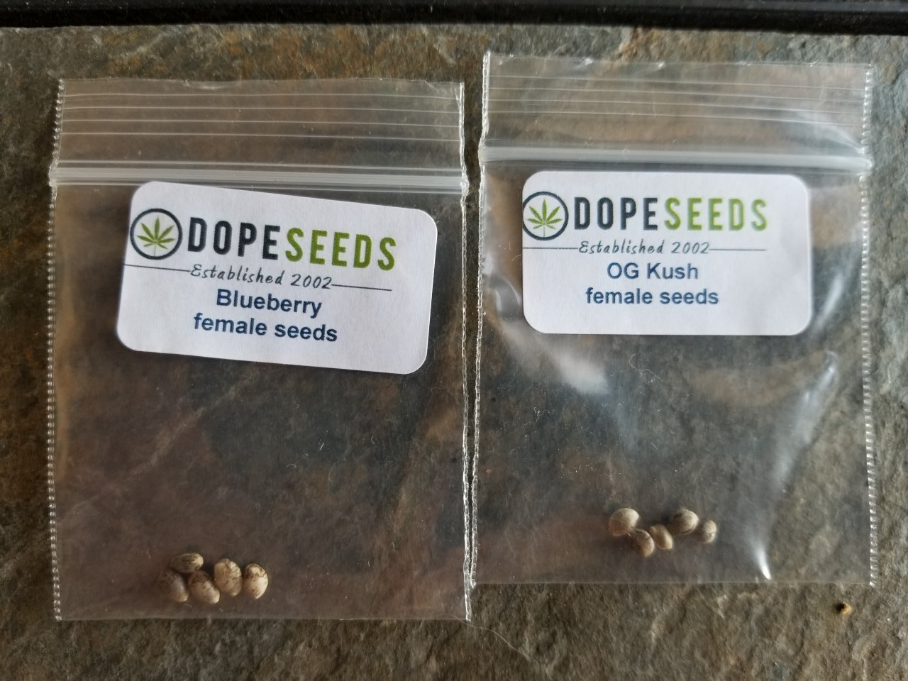 Dope seeds 82818.jpg