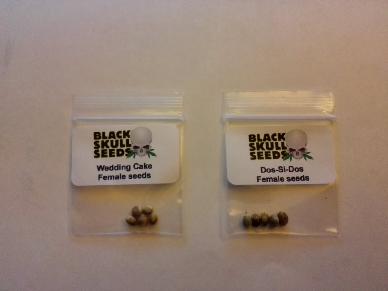 Dope Seeds delivers "Black Skull" seeds