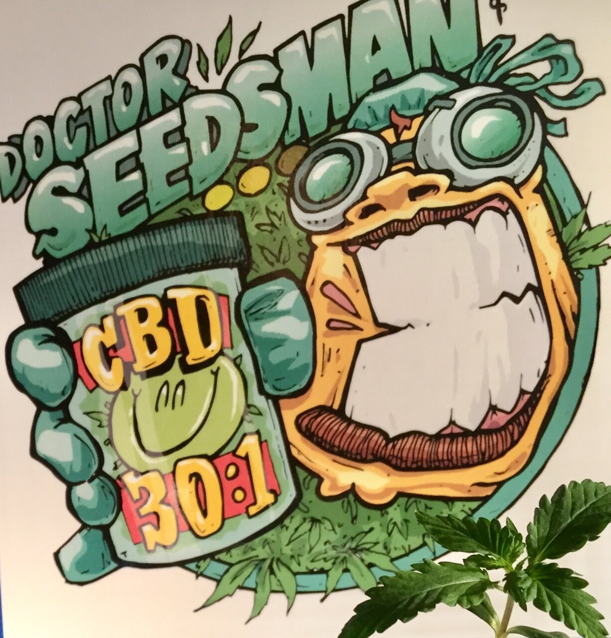 Dr Seedsman CBD 30:1