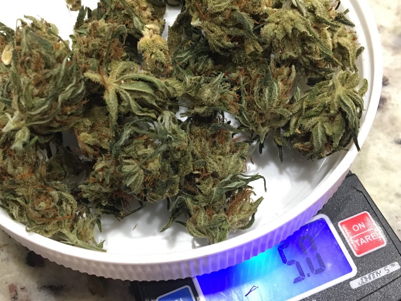 Dry, cured buds