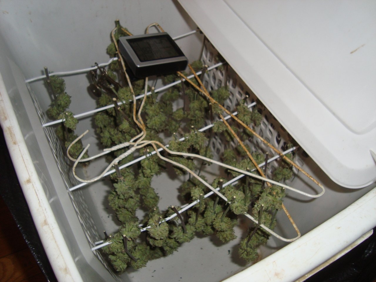 drying box (1).JPG