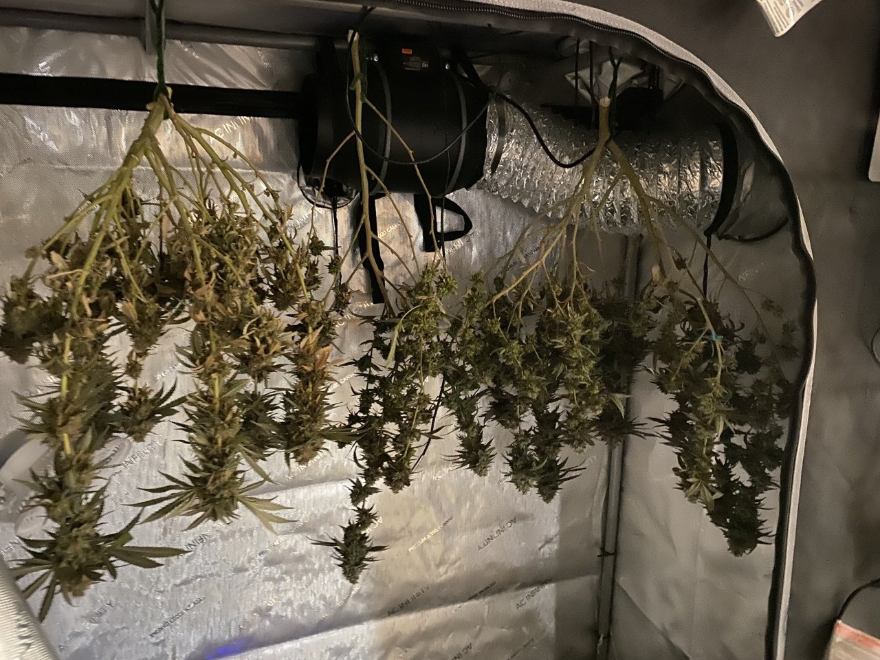 Drying in the tent