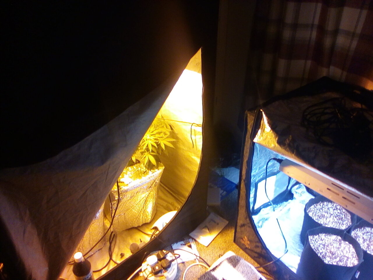Dual Tent Setup