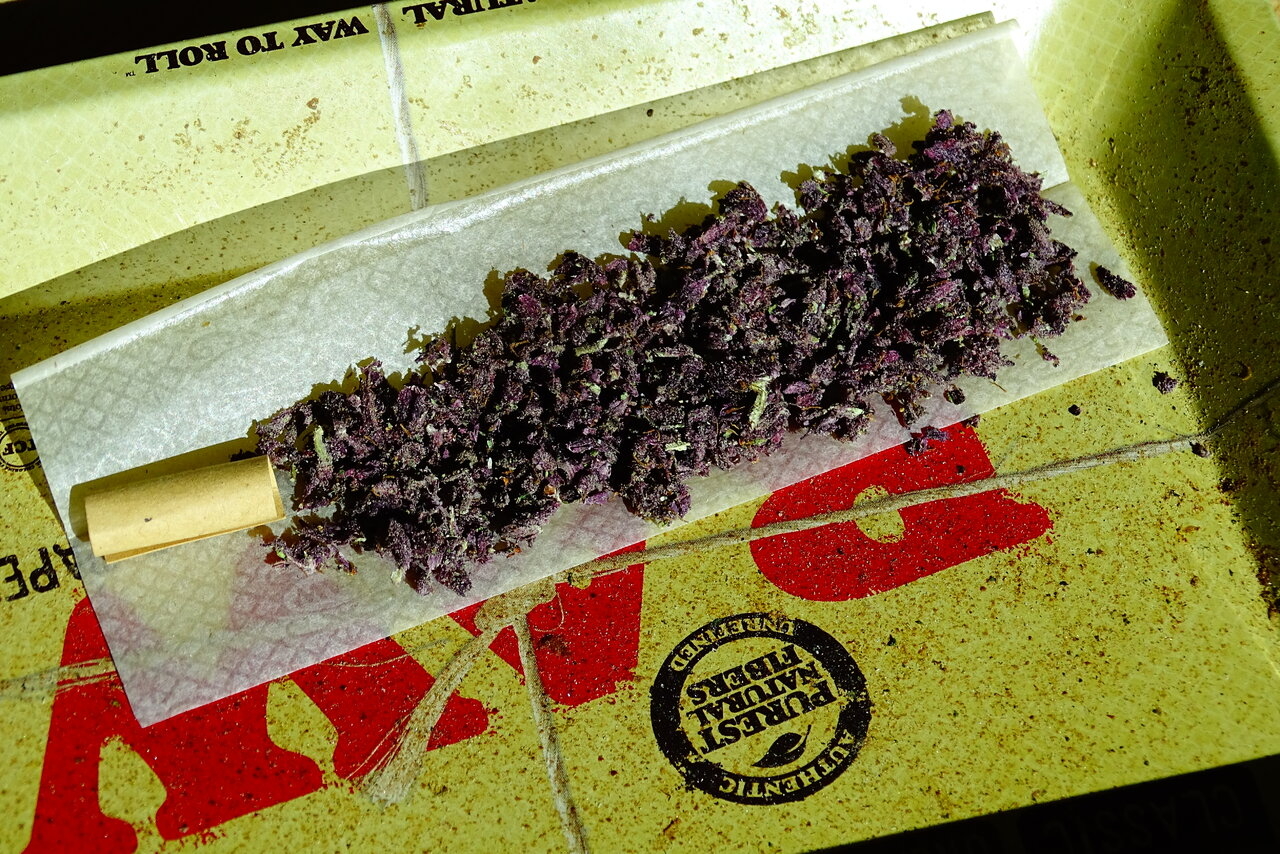 Fat Purple