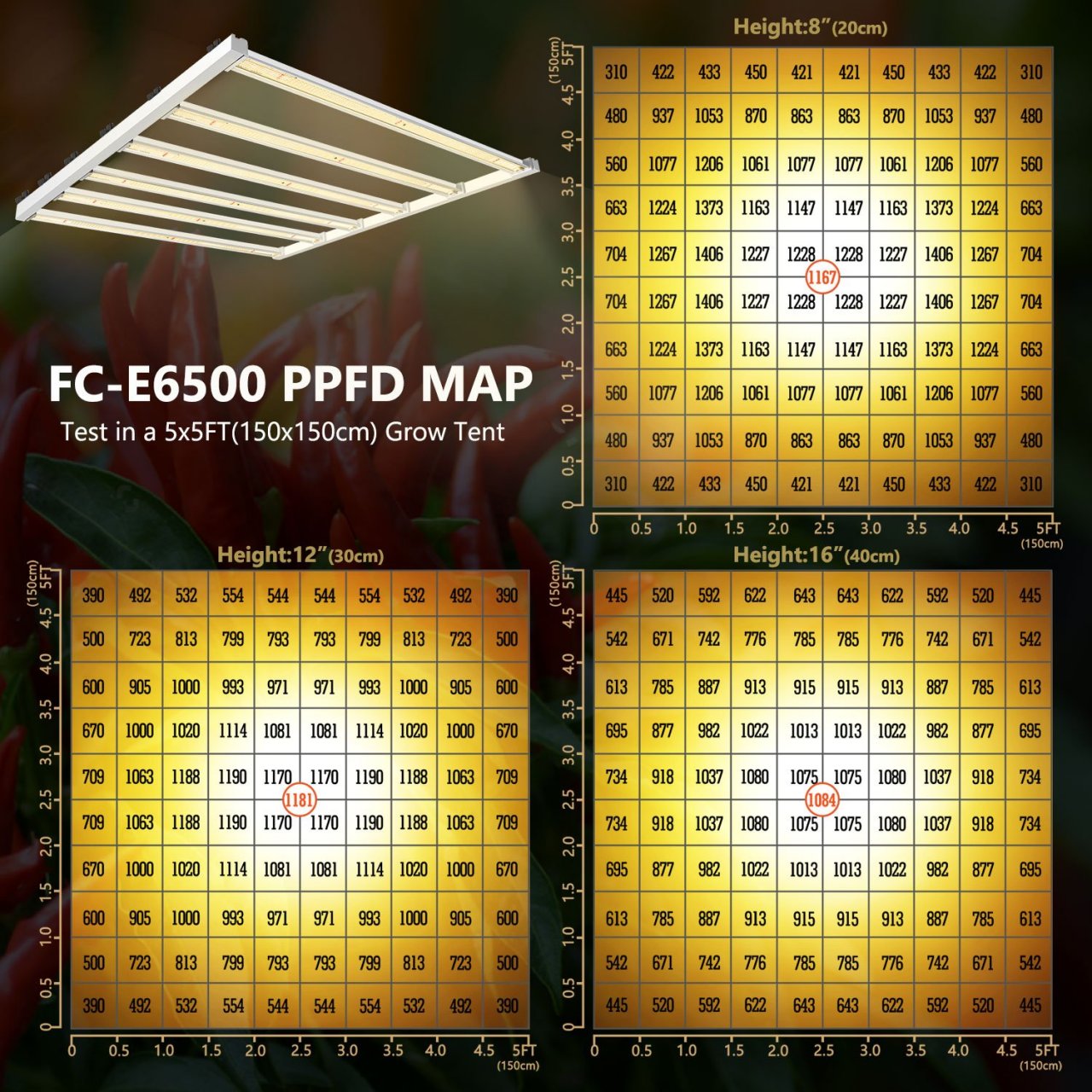 FC-E6500 PPFD.jpg