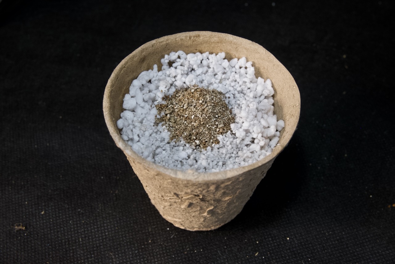 Fill Hole with Vermiculite & Moisten