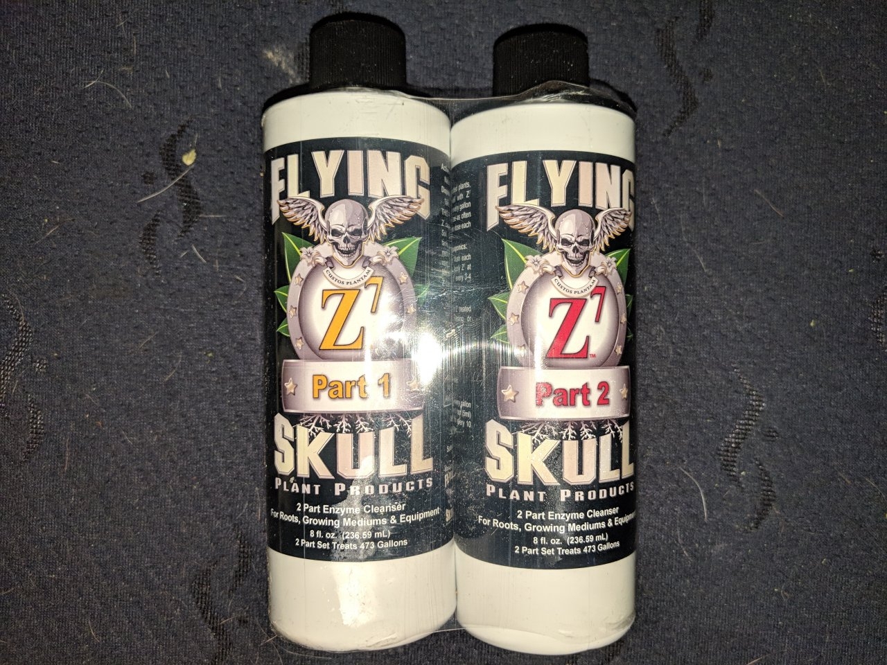 Flying Skull Z7.jpg