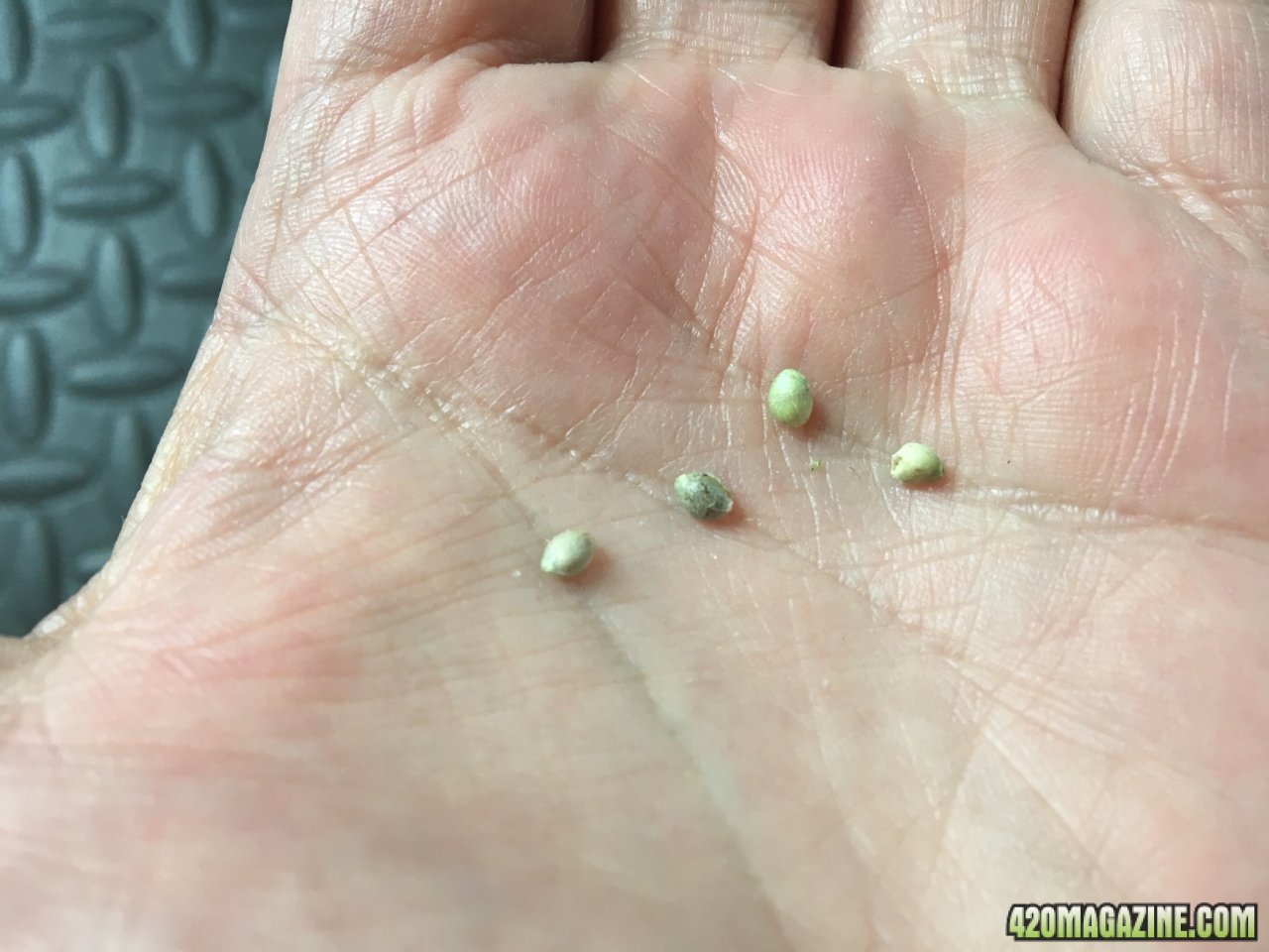 Found seeds