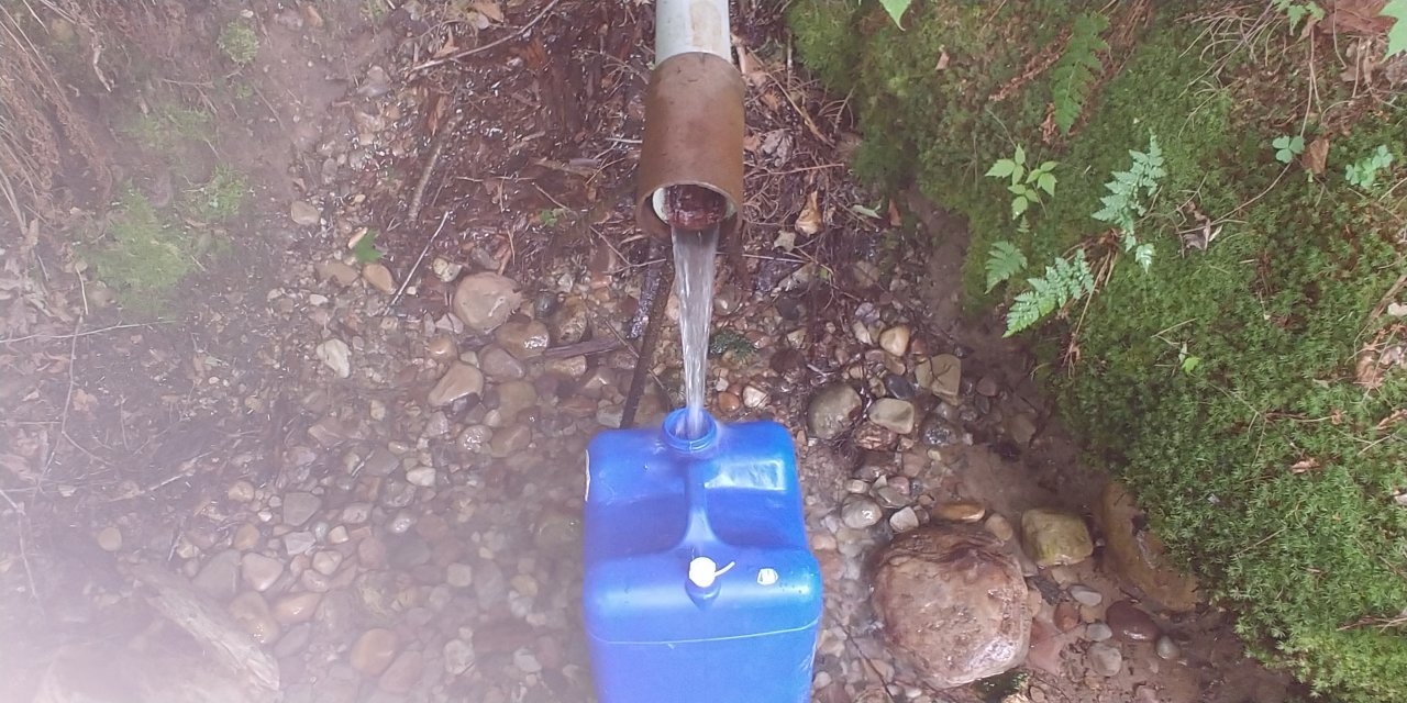 Fresh mountain spring water for plants