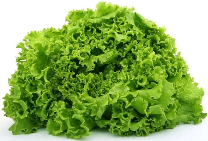 green-leaf-lettuce2.jpg