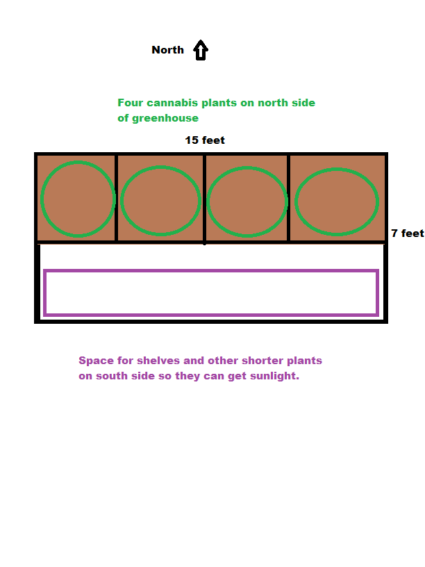 Greenhouse Grow Plan.png