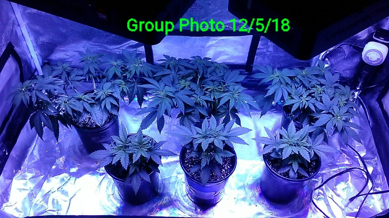 Group Photo 12/5/18
