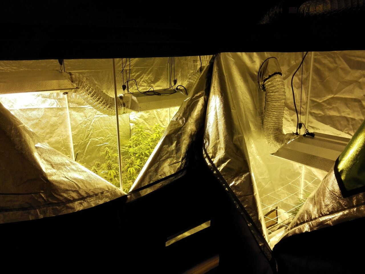 Grow room finished