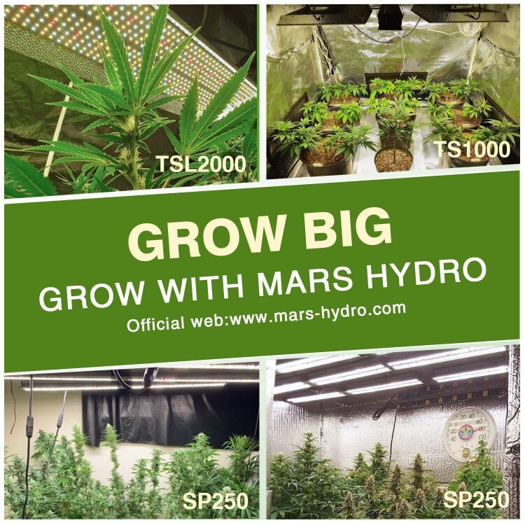grow with Mars Hydro