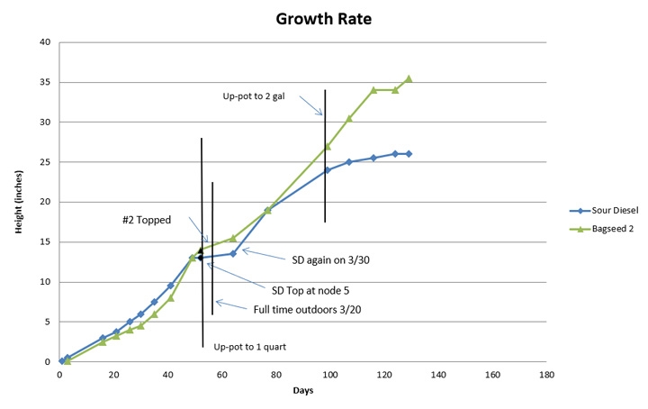 Growth chart 02.jpg