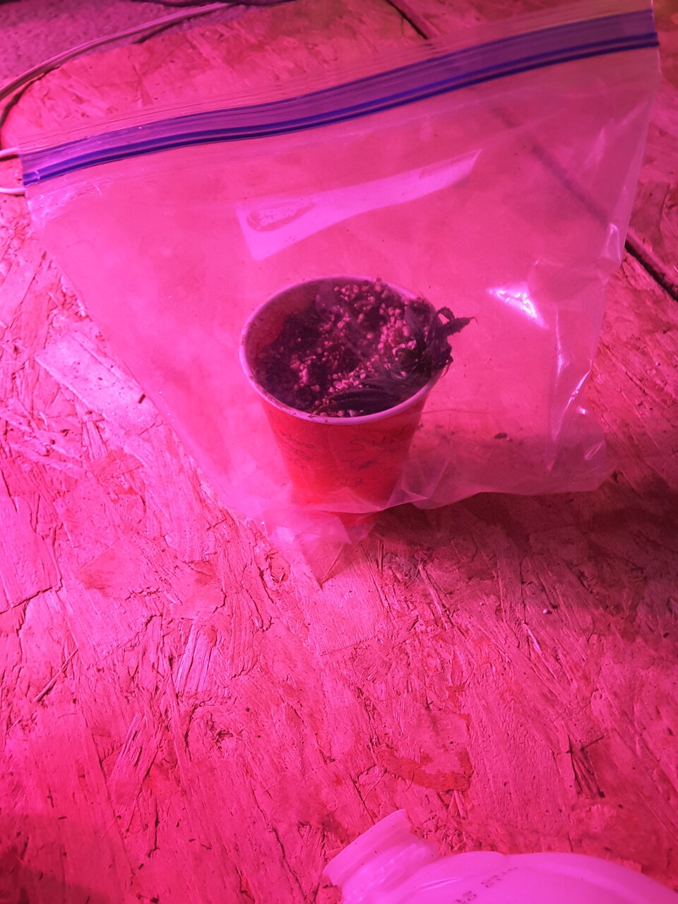 HB Clone i tried to root