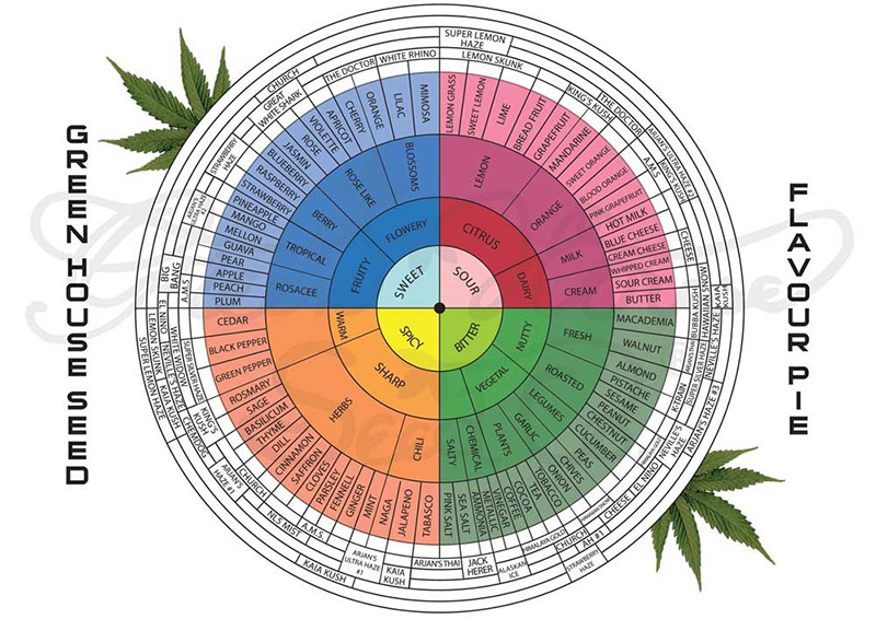 herb's terpenes-chart.jpg