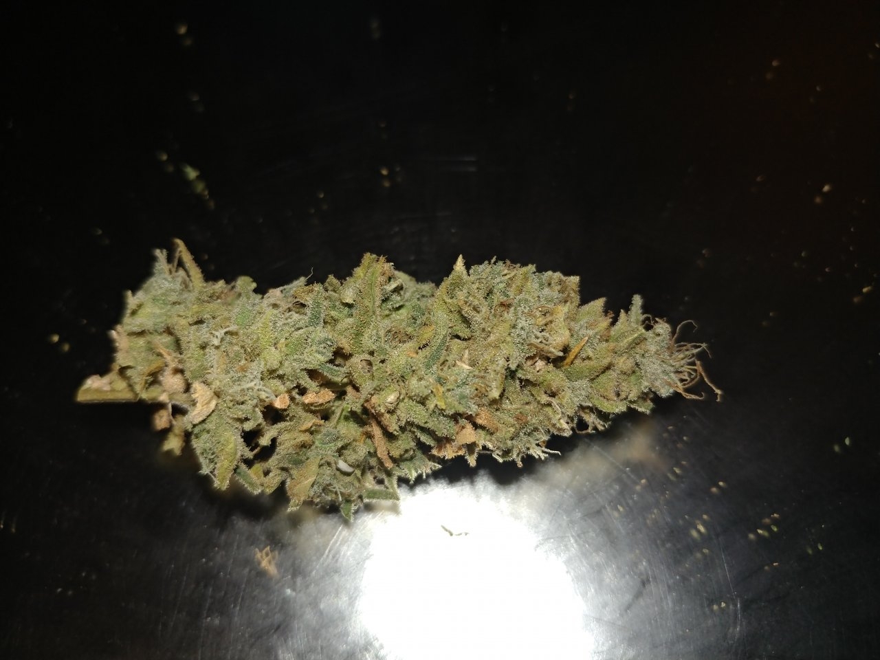 Icemud_Sour Grapes_cannabis_seed_hazeman (2).jpg