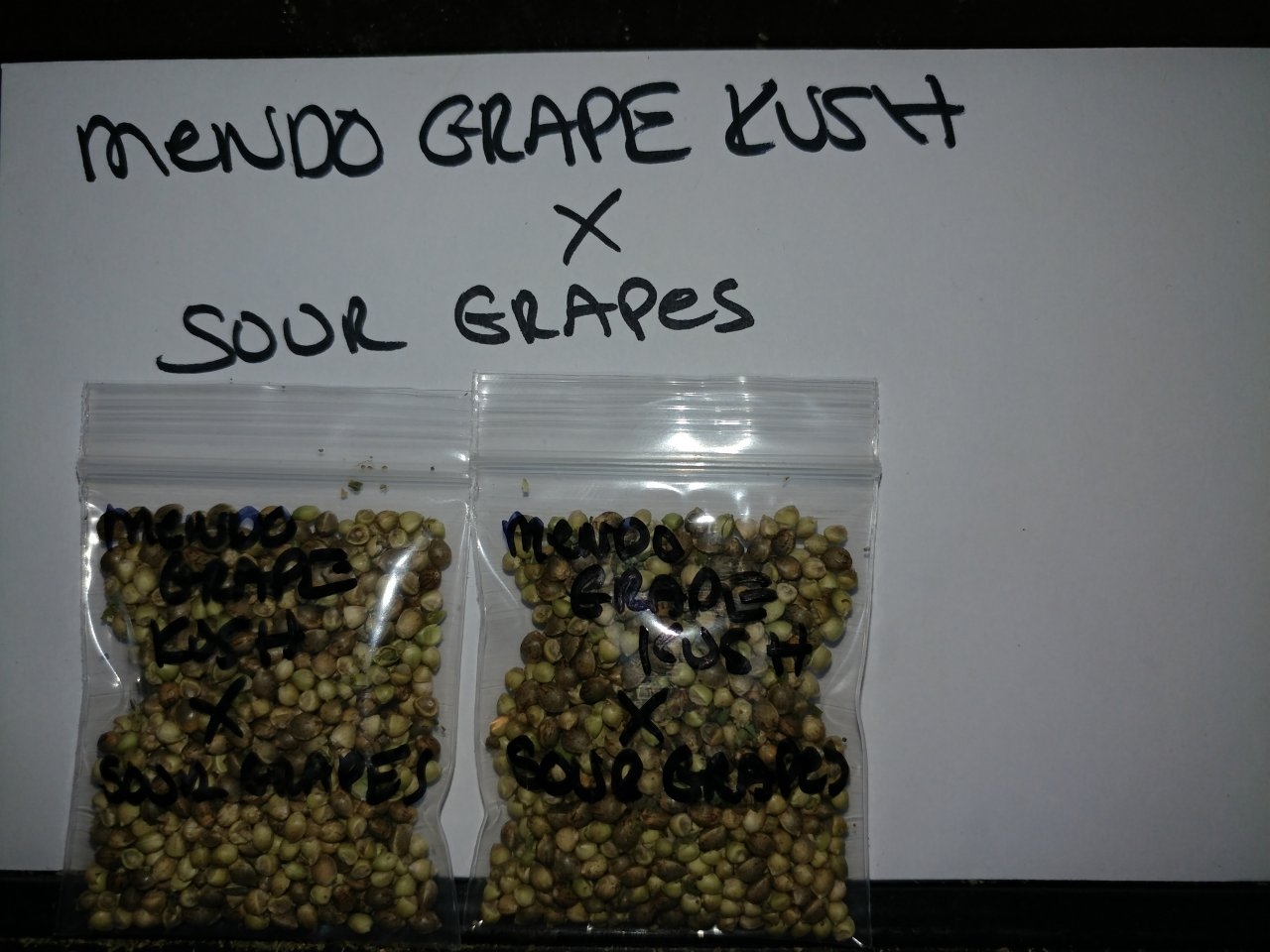 Icemud_Sour Grapes_cannabis_seed_hazeman (4).jpg